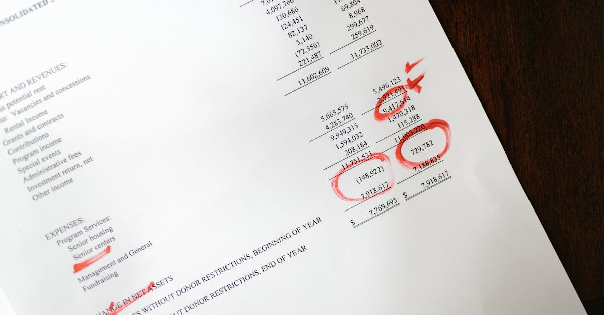 public debt illustration