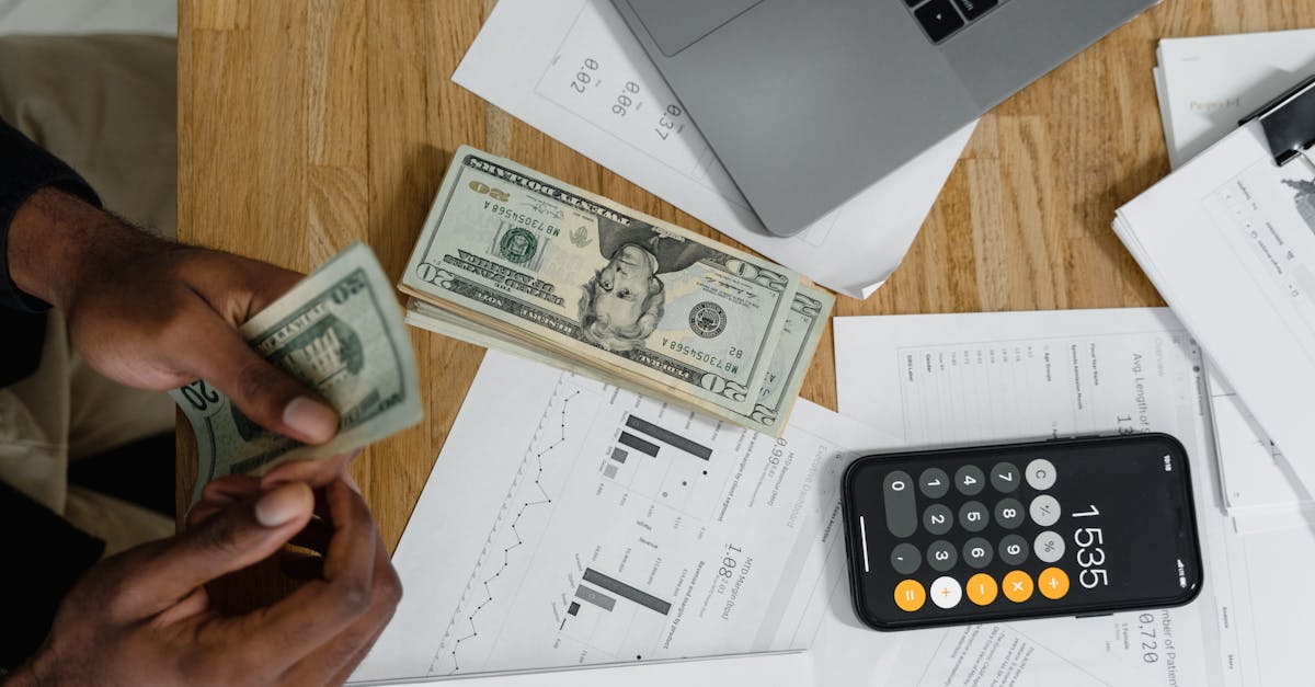 public debt illustration